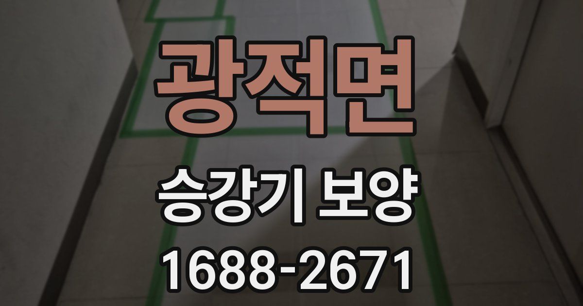 광적면 승강기 보양