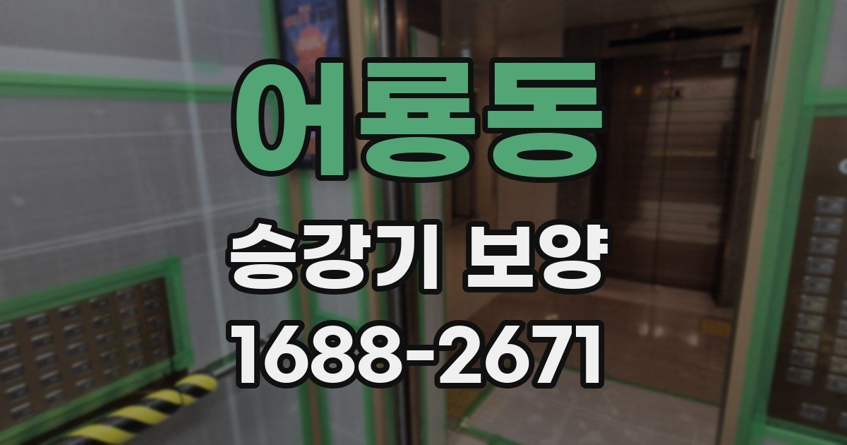 어룡동 승강기 보양