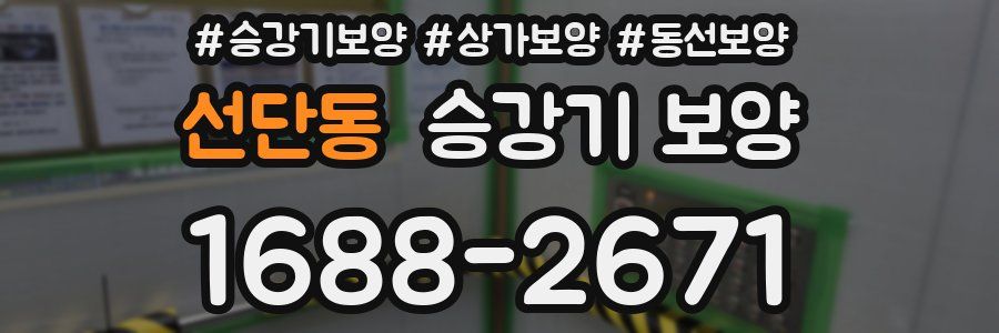 선단동 승강기 보양