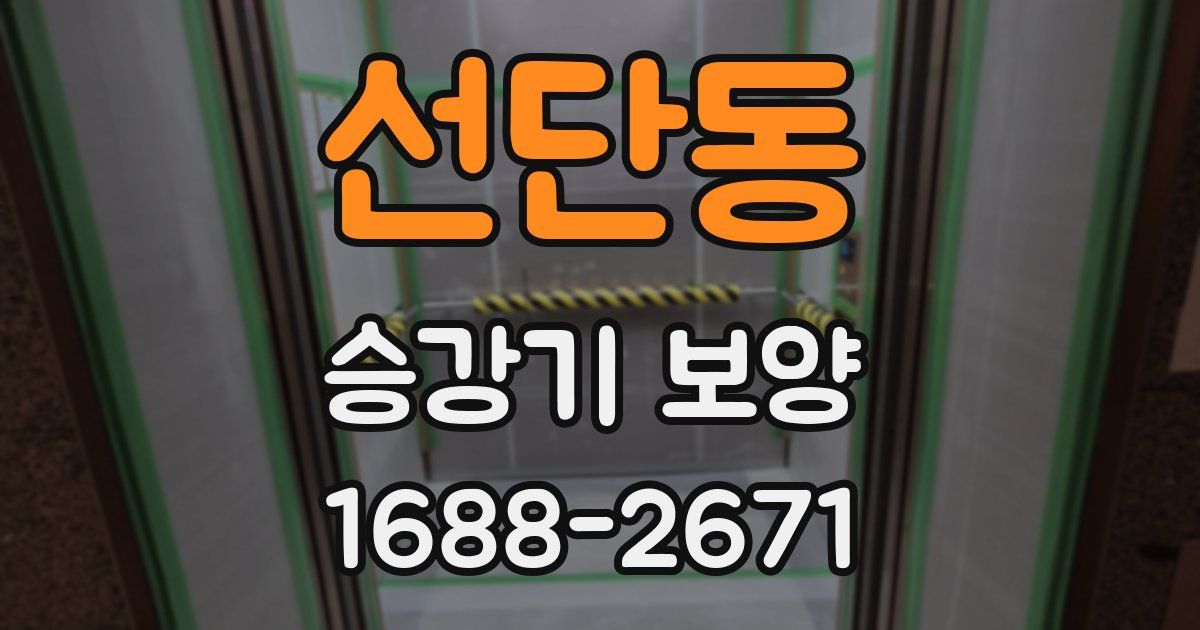 선단동 승강기 보양