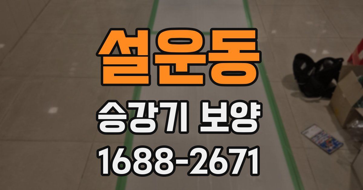 설운동 승강기 보양