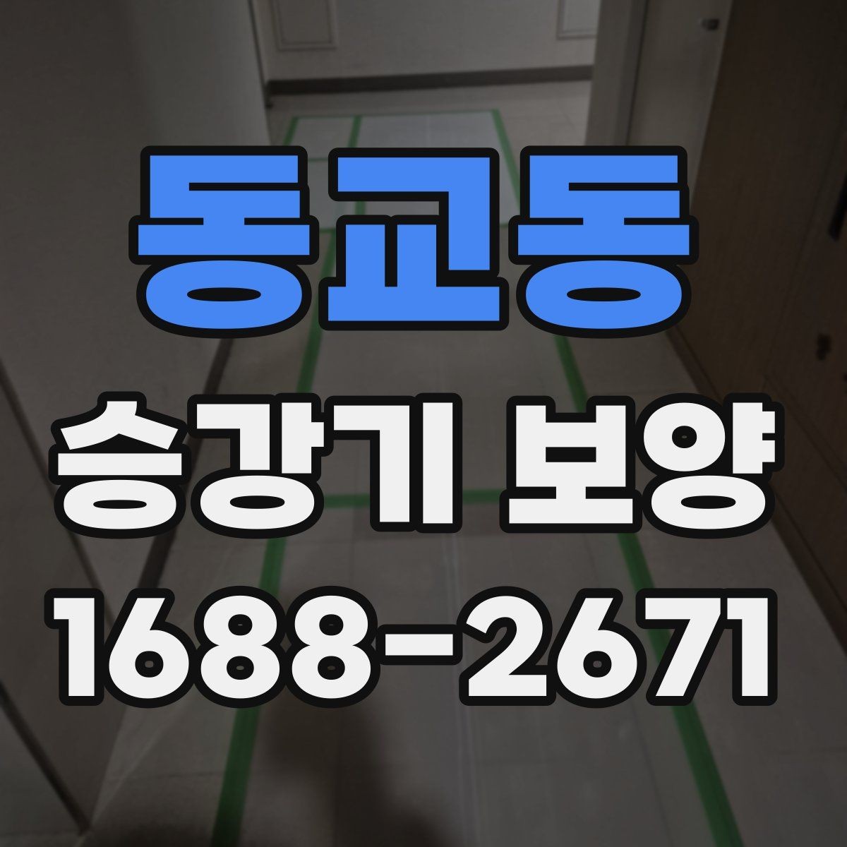 동교동 승강기 보양 업체 선택 시 비교 포인트