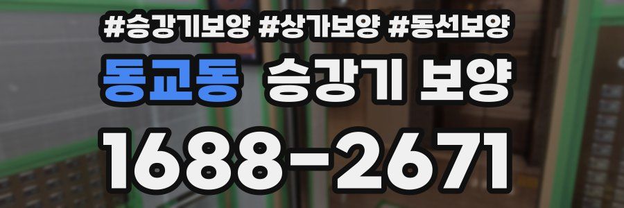 동교동 승강기 보양