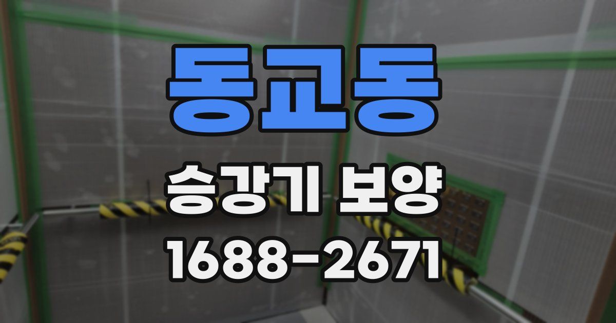 동교동 승강기 보양