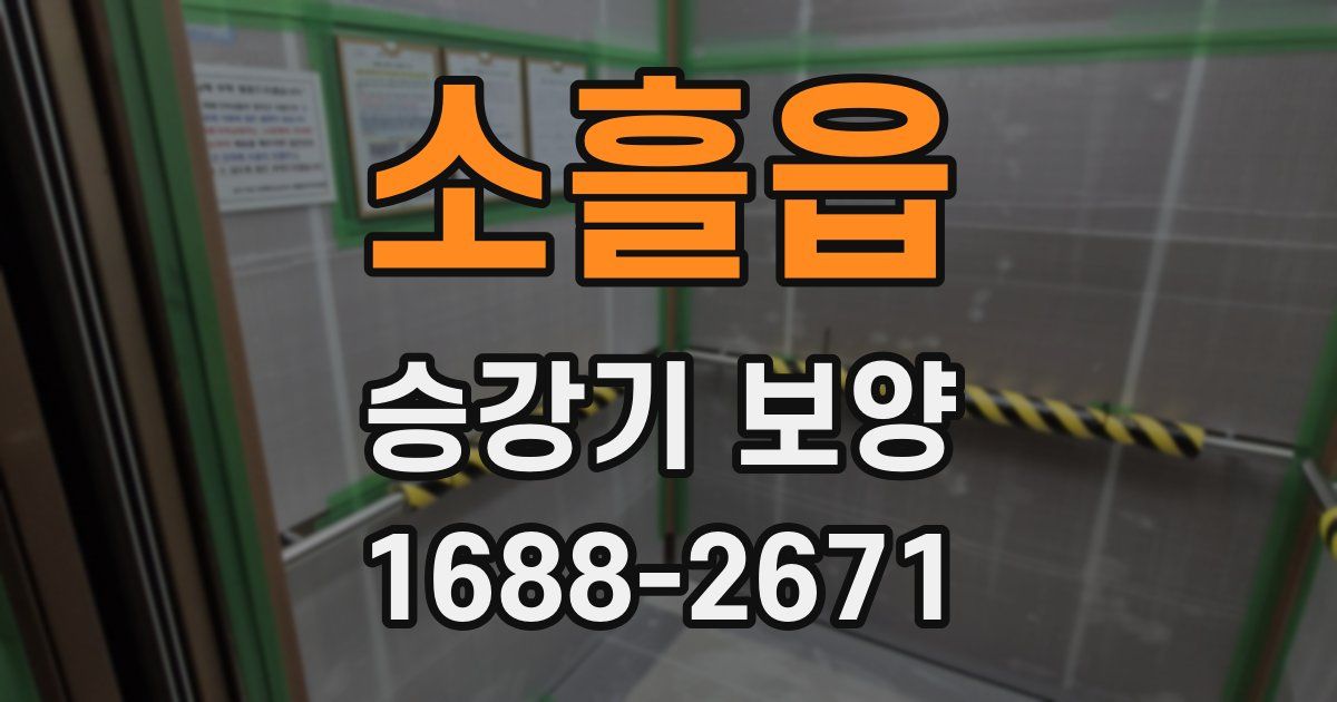 소흘읍 승강기 보양