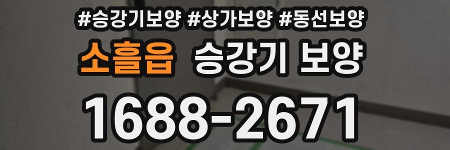 소흘읍 승강기 보양
