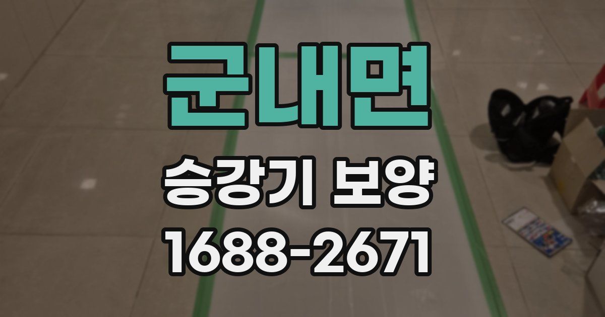 군내면 승강기 보양