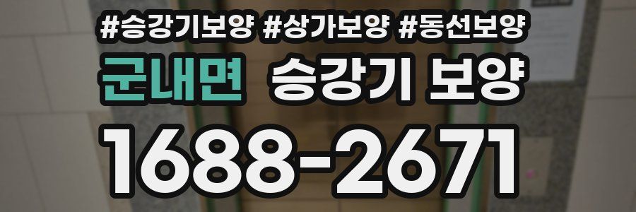 군내면 승강기 보양