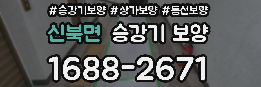 신북면 승강기 보양