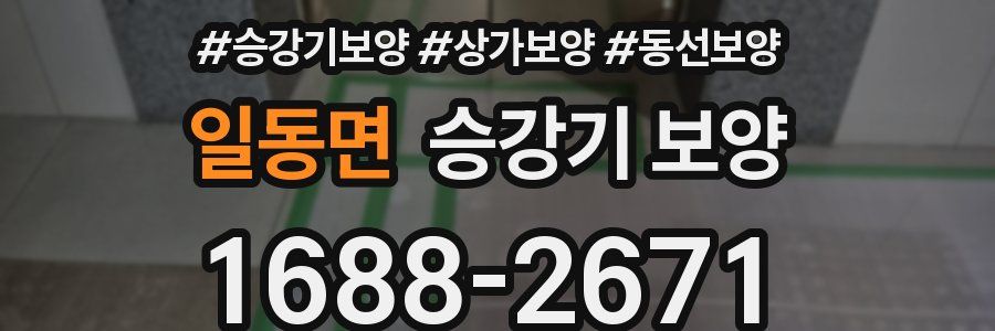 일동면 승강기 보양