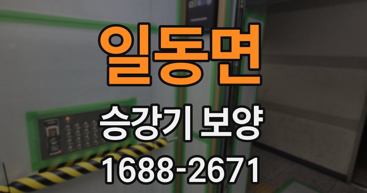 일동면 승강기 보양