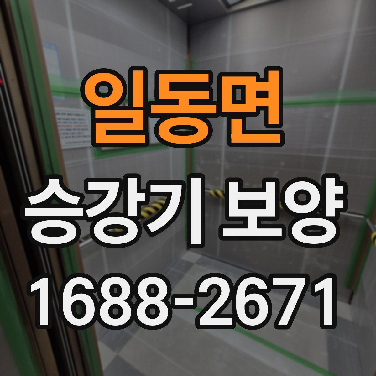 일동면 승강기 보양