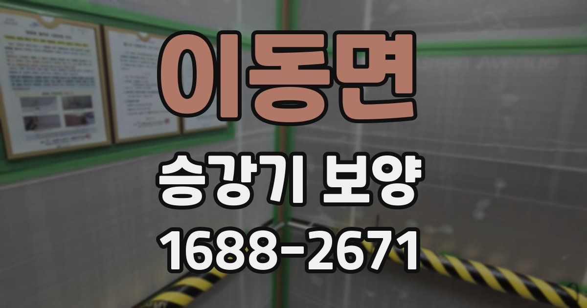 이동면 승강기 보양