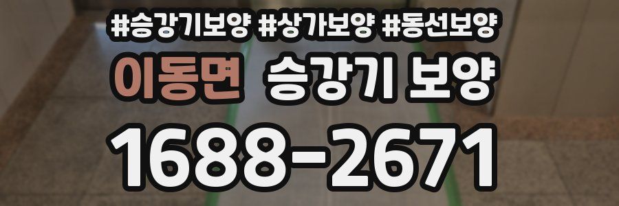 이동면 승강기 보양
