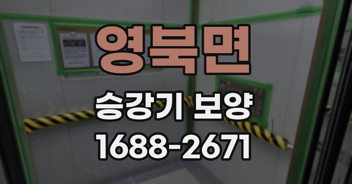 영북면 승강기 보양