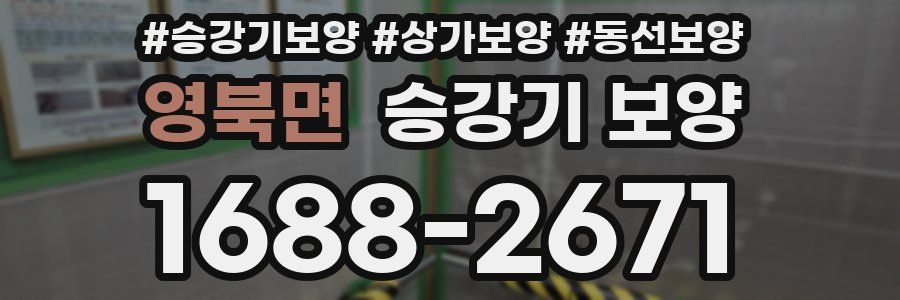 영북면 승강기 보양
