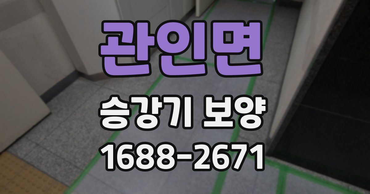 관인면 승강기 보양