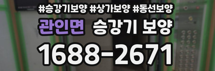 관인면 승강기 보양
