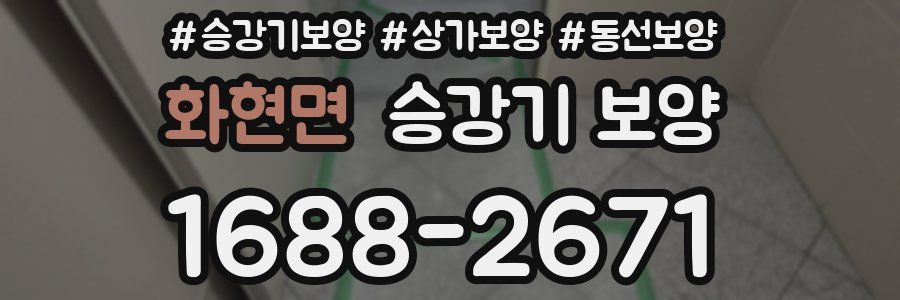 화현면 승강기 보양