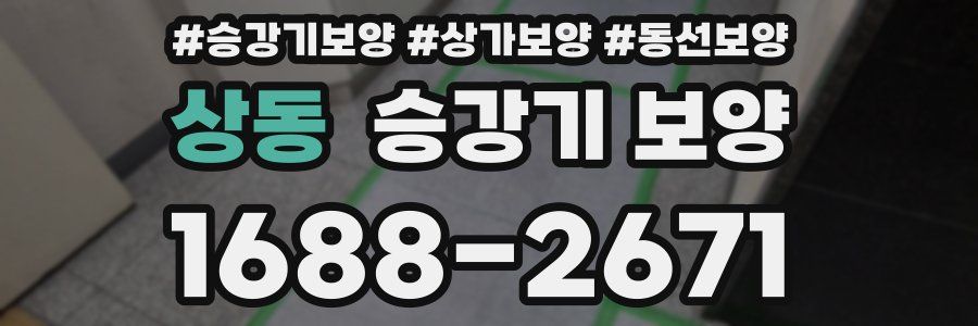 상동 승강기 보양