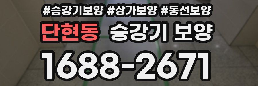 단현동 승강기 보양