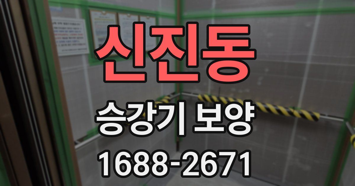 신진동 승강기 보양