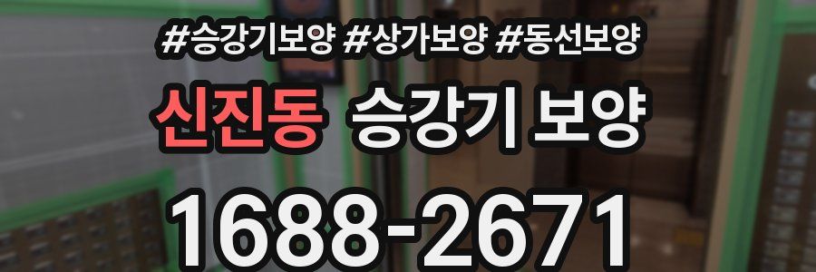 신진동 승강기 보양