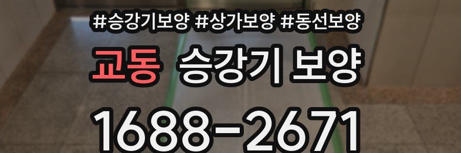 교동 승강기 보양
