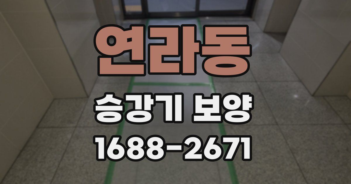 연라동 승강기 보양
