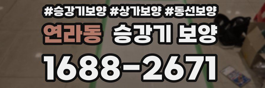 연라동 승강기 보양