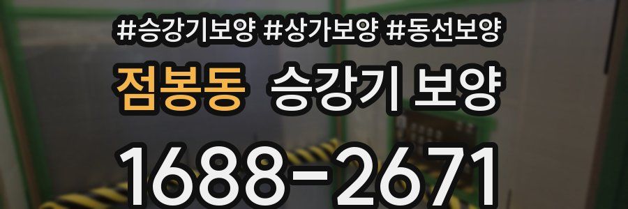 점봉동 승강기 보양