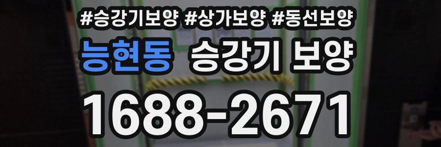 능현동 승강기 보양