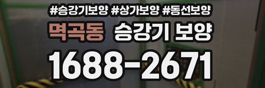 멱곡동 승강기 보양