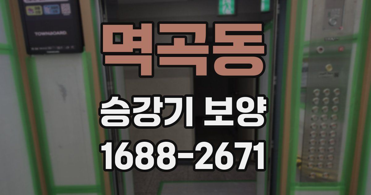 멱곡동 승강기 보양