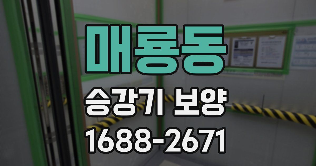 매룡동 승강기 보양