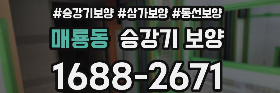매룡동 승강기 보양