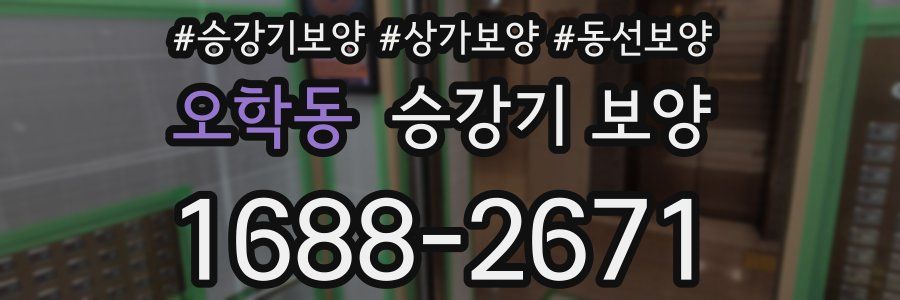 오학동 승강기 보양