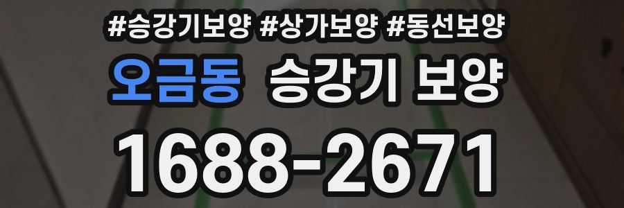 오금동 승강기 보양