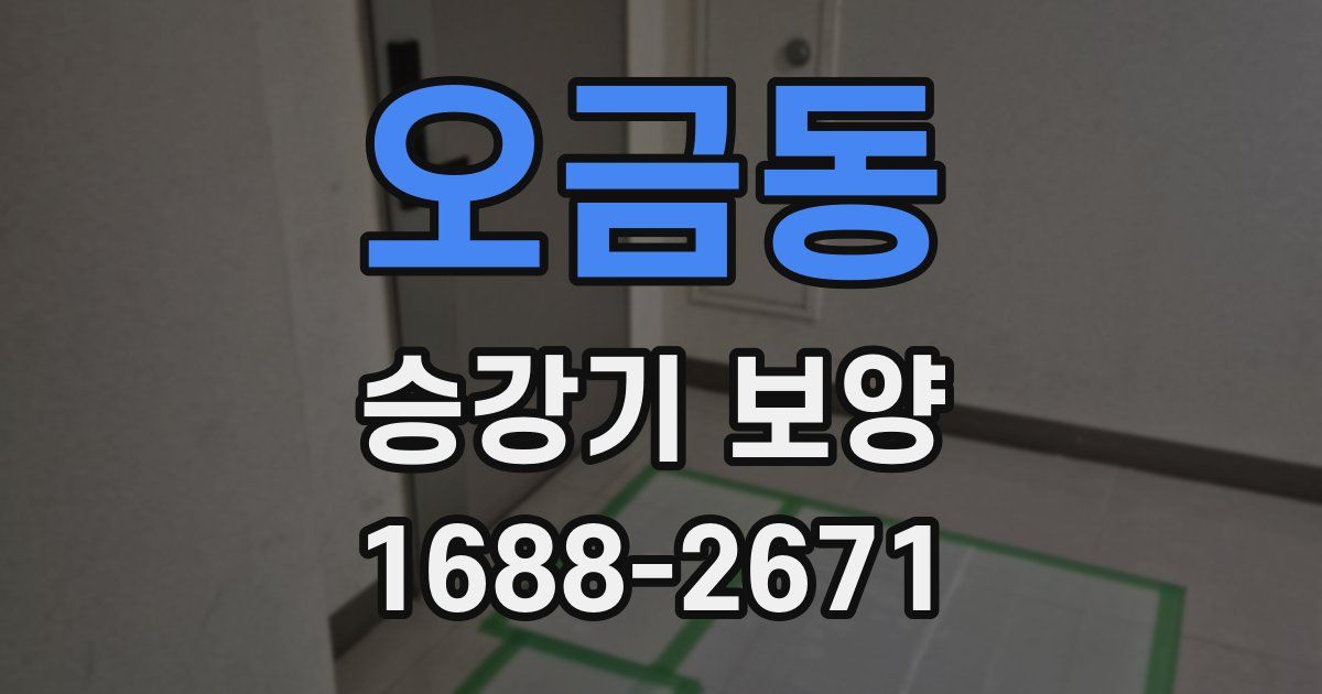 오금동 승강기 보양