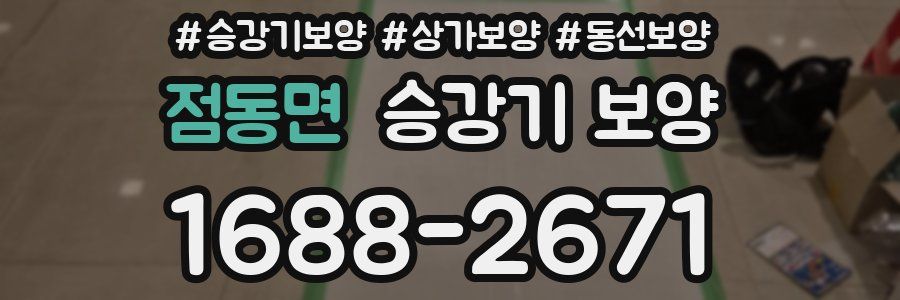 점동면 승강기 보양