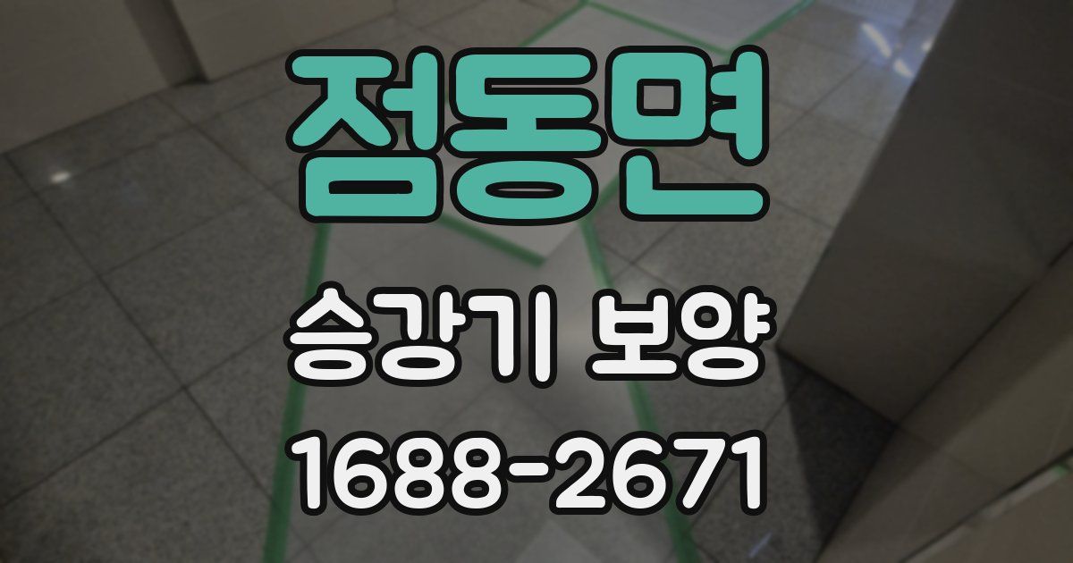점동면 승강기 보양