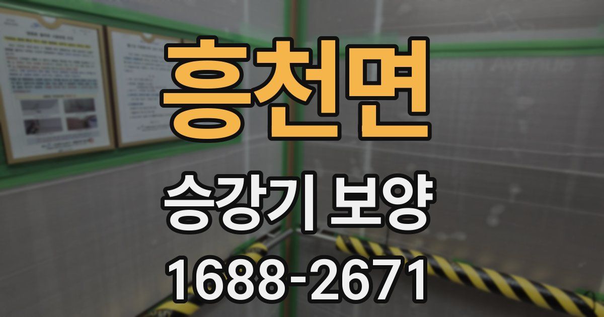 흥천면 승강기 보양