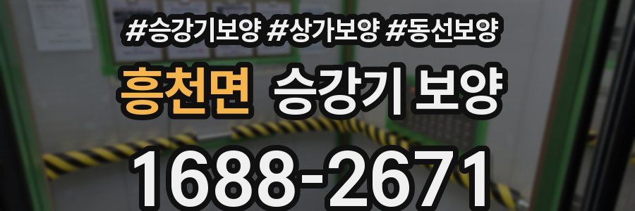 흥천면 승강기 보양