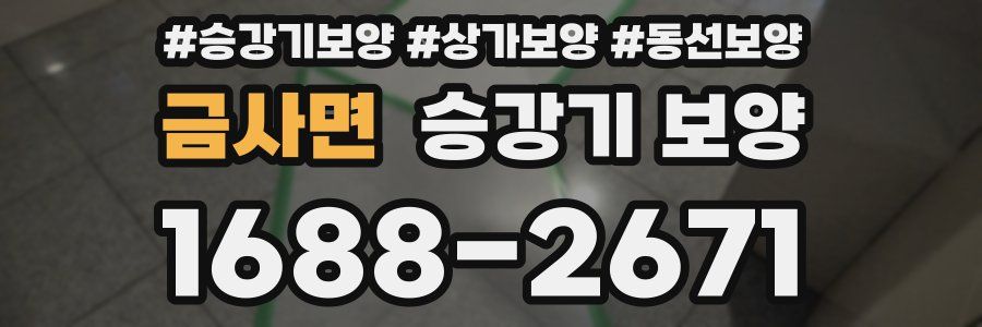 금사면 승강기 보양