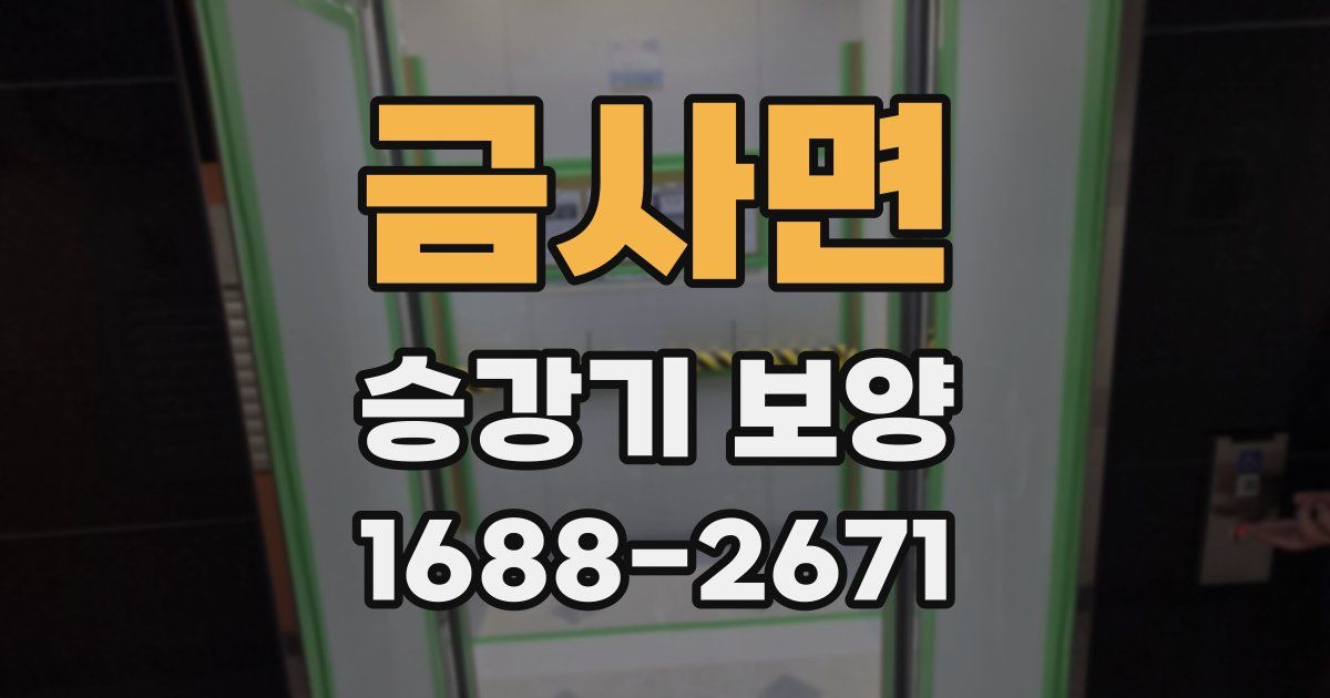 금사면 승강기 보양