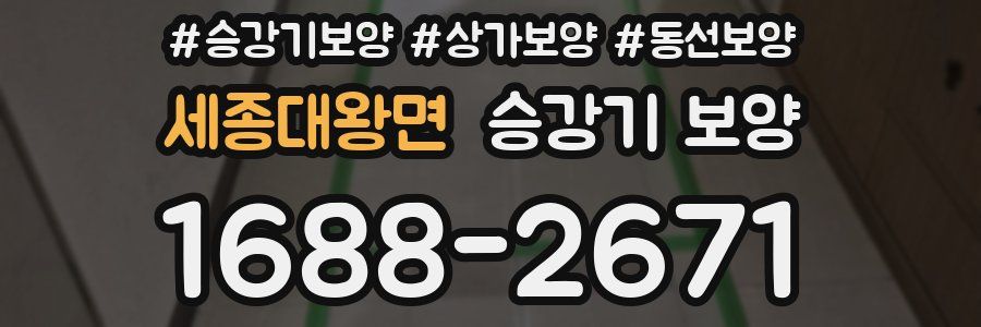 세종대왕면 승강기 보양