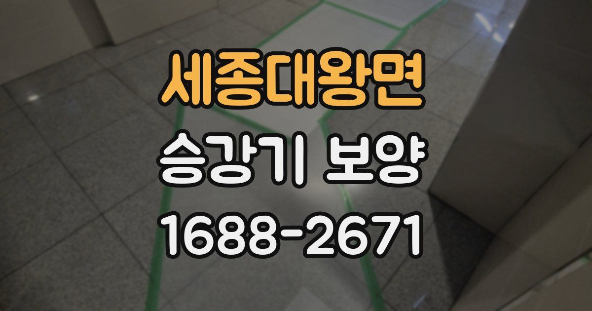 세종대왕면 승강기 보양