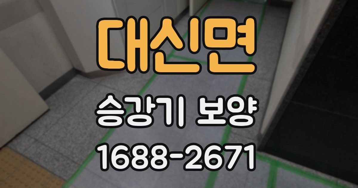 대신면 승강기 보양