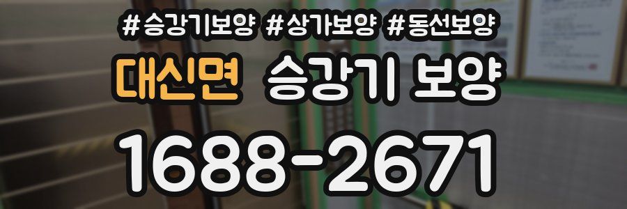 대신면 승강기 보양