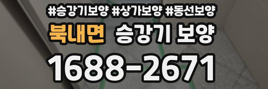 북내면 승강기 보양